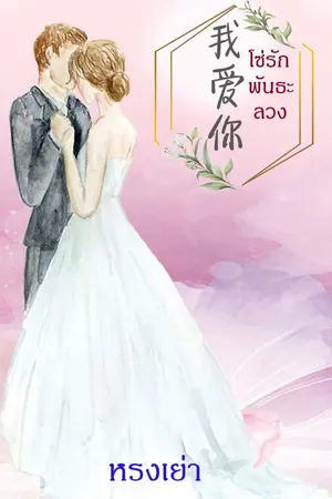 ปกนิยาย