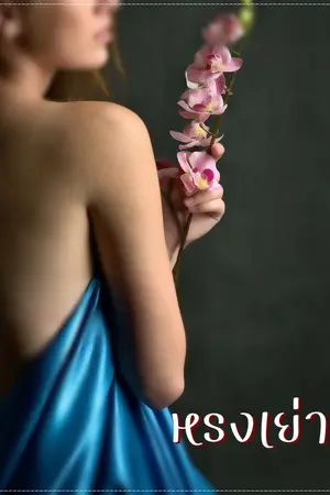 ปกนิยาย