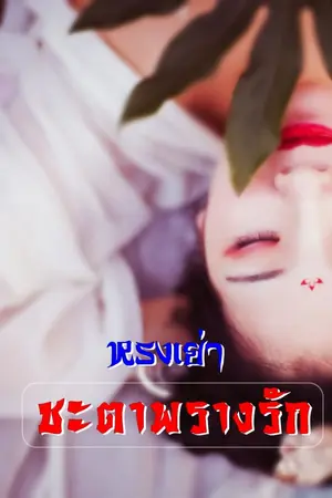 ปกนิยาย ชะตาพรางรัก