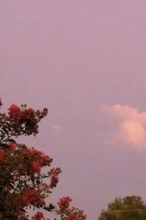 ปกนิยาย 40 km/hr #40kmhrtoyou