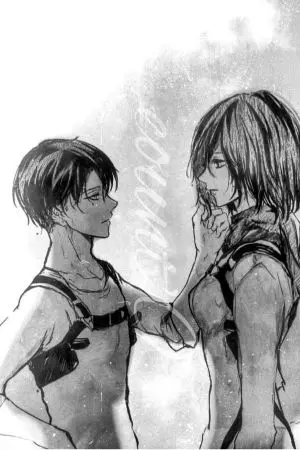 ปกนิยาย รัก หลอก ลวง (Levi Mikasa)