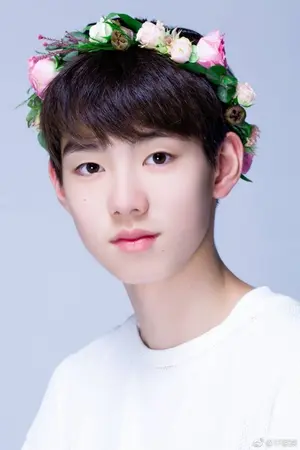 ปกนิยาย เฟื้องฟ้าสีชมพูประกายหม่น