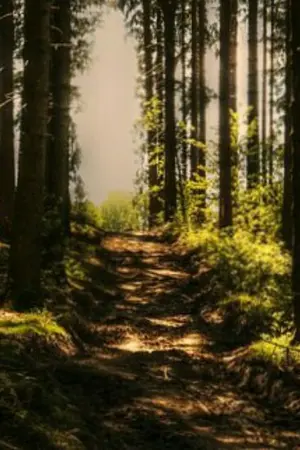 ปกนิยาย หมอทุรกันดาร