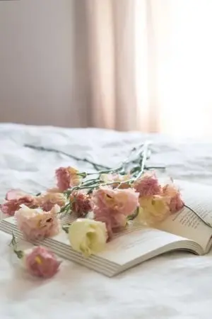 ปกนิยาย รวมเรื่องสั้น รักฉบับวาย