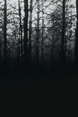 ปกนิยาย ผู้กล้าจากทิศตะวันตก