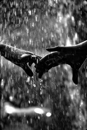 ปกนิยาย The two color loves