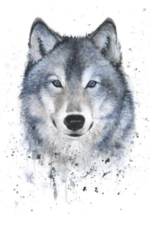 ปกนิยาย My wolf (jaedo)