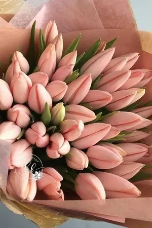 ปกนิยาย [Mpreg] FAKE LOVE : CHANBAEK - END