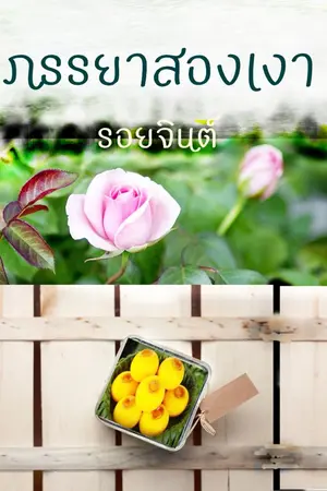 ปกนิยาย ภรรยาสองเงา