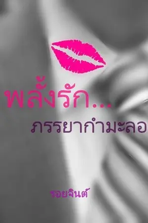 ปกนิยาย