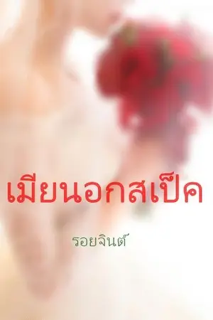 ปกนิยาย เมียนอกสเปค มีอีบุ๊คนะคะ
