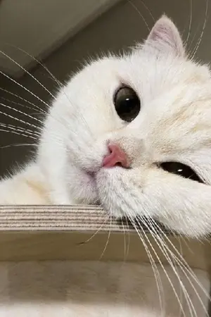 ปกนิยาย ระหว่างเรา...