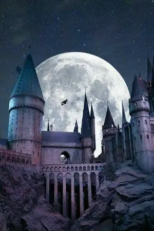 ปกนิยาย Crazy girl [fic Harry Potter](oc/Dm)