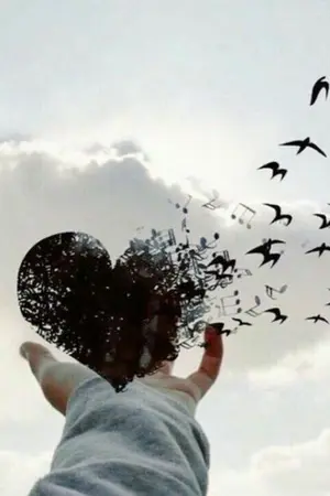 ปกนิยาย คำขอในวันเกิด