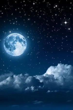 ปกนิยาย [JUNGKOOK​ x YOU]​ -  BUNNY