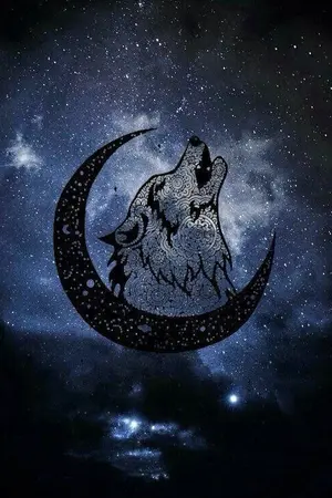 ปกนิยาย [OMEGAVERSE ]TIME FOR THE MOONLIGHT [ KOOKMIN ]