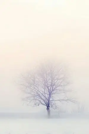 ปกนิยาย Smoke