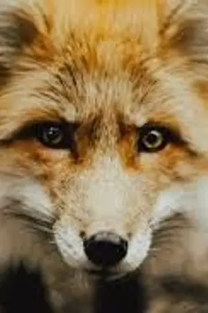 ปกนิยาย อยากอ่านเรื่องของฉันไหม?