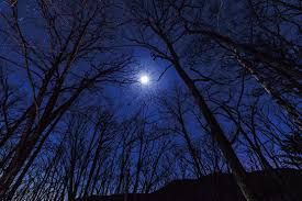 เขียน หรือ พัก ?