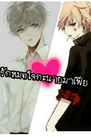 ปกนิยาย