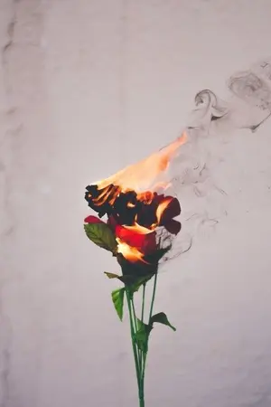 ปกนิยาย Thai AU! ☆ เดชฤดี ★ (OMEGAVERSE) ♛ MINV / KOOKV ♚