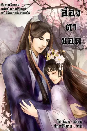 ปกนิยาย อ๋องตาบอด