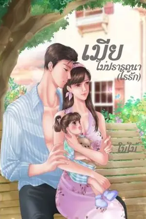 ปกนิยาย