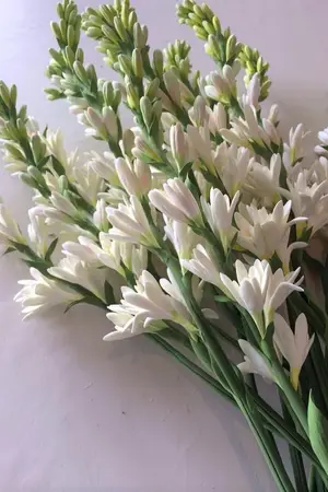 ปกนิยาย ซ่อนกลิ่น (MarkBam) drama18+