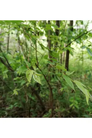 ปกนิยาย 12กันยายน​