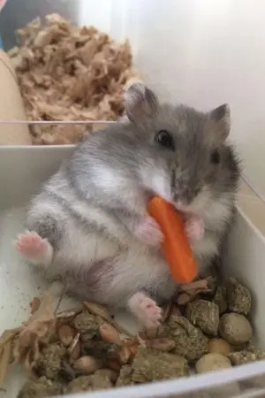 ปกนิยาย Love would never end. น้ำไหลบนขอบผา