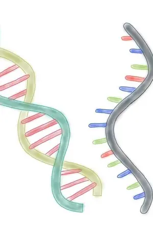 ปกนิยาย knowledge