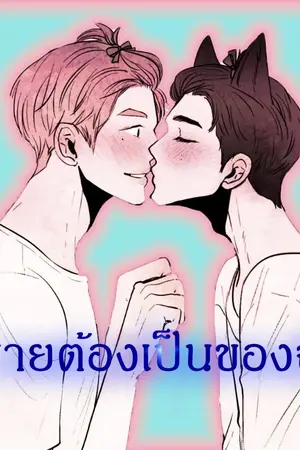 ปกนิยาย