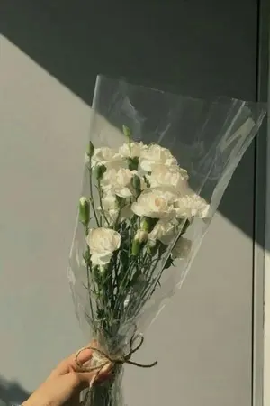 ปกนิยาย ˢᵉᶜʳᵉᵗ ᴸᵒᵛᵉ Σ>―(〃°ω°〃)♡→