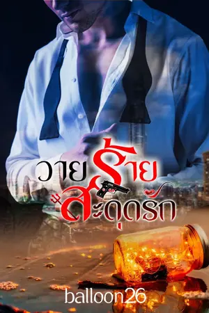 ปกนิยาย วายร้ายสะดุดรัก