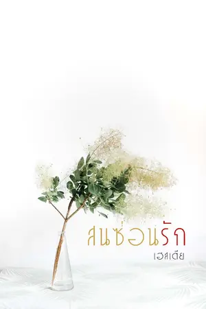 ปกนิยาย