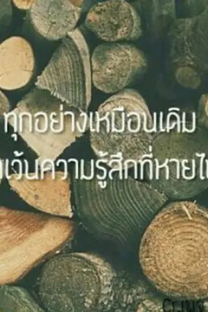 ปกนิยาย