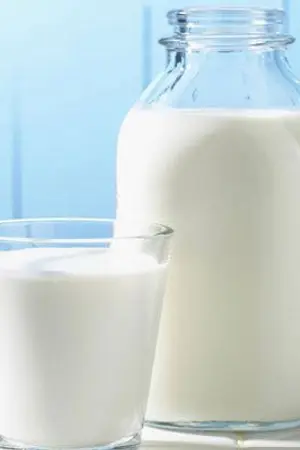 ปกนิยาย MilkTea พี่ครับ... ขอกินนมหน่อย