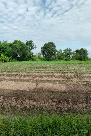 ปกนิยาย ใช้ชีวิตกับระบบแลกเปลี่ยนในยุค70