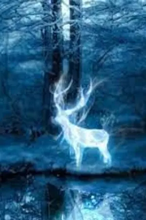ปกนิยาย patronus charm |hpdm