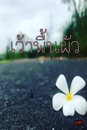 ปกนิยาย เว้าพื้นผัว