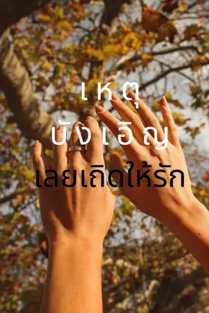 ปกนิยาย เหตุบังเอิญ เลยเถิดให้รัก