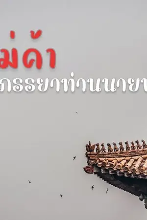 ปกนิยาย แม่ค้าภรรยาท่านนายพล (ไทยย้อนยุค)