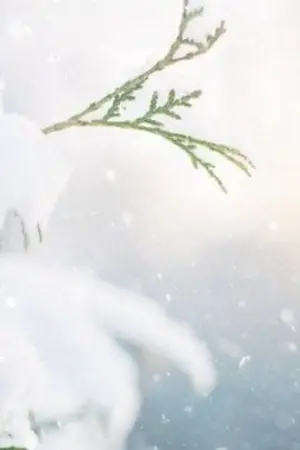 ปกนิยาย คลังเก็บplot แบบมึนๆ