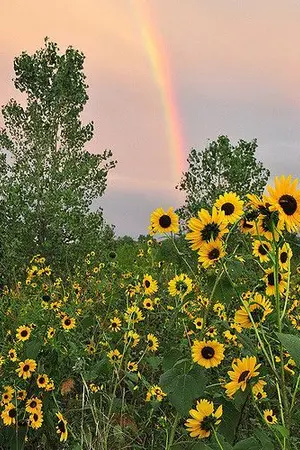 ปกนิยาย [os/sf] After You minhwan #อตยมฮ