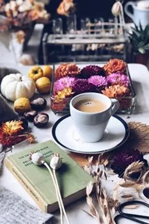 ปกนิยาย บ่วงดวงใจ