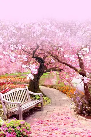 ปกนิยาย เพียงพันธนาการ