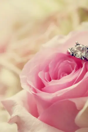 ปกนิยาย หมั้นใจรัก