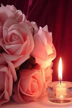 ปกนิยาย . สวาทลวง .