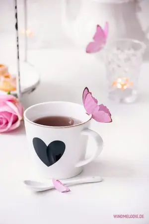 ปกนิยาย เร้ารัก