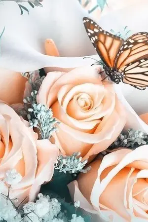 ปกนิยาย สุดห้ามใจรัก